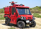 Red Ledybug